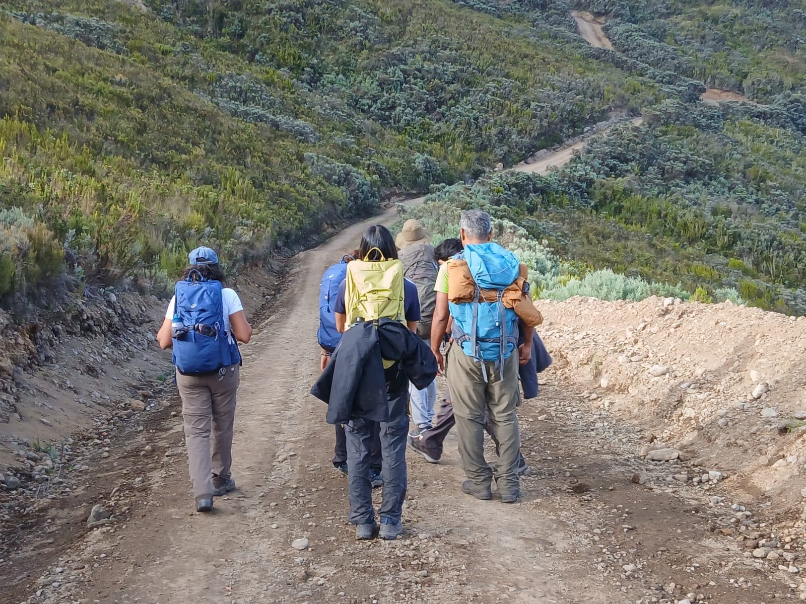 Group of trekkers walking up a dirt track through moorland on Mount Kenya