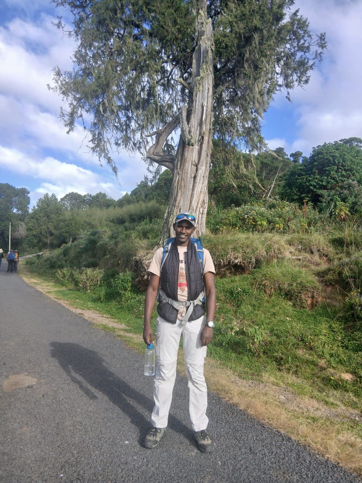 Guide standing on a forest road beside a tall juniper tree