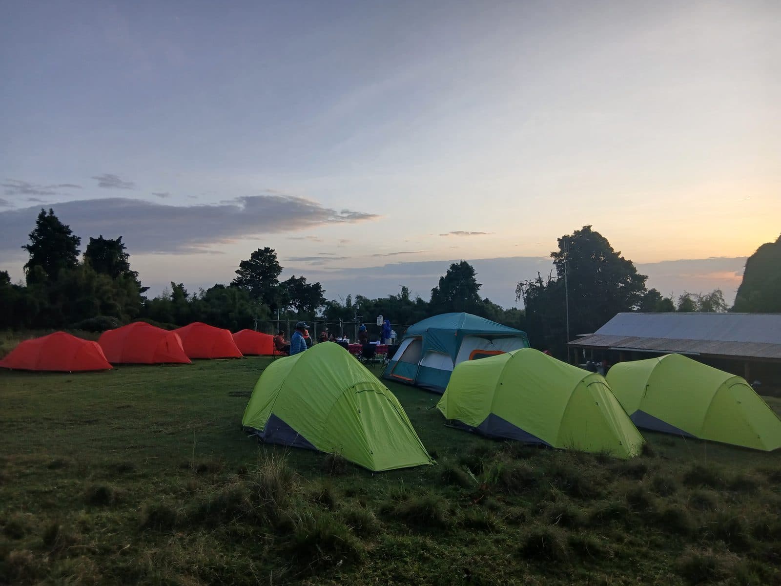 Orange and green tents at a forest-edge campsite at sunset