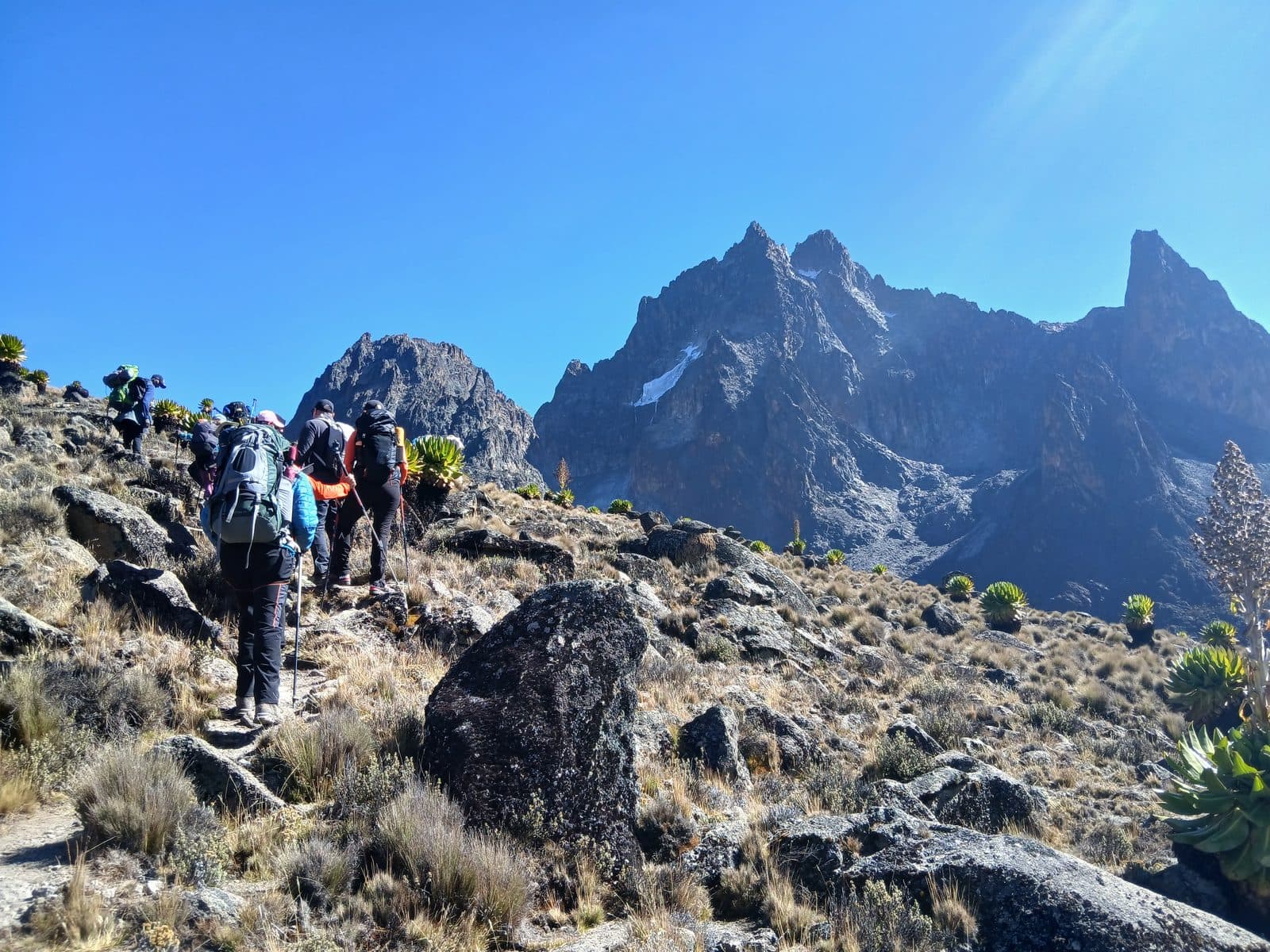 Line of trekkers on a rocky ridge below Mount Kenya's main peaks
