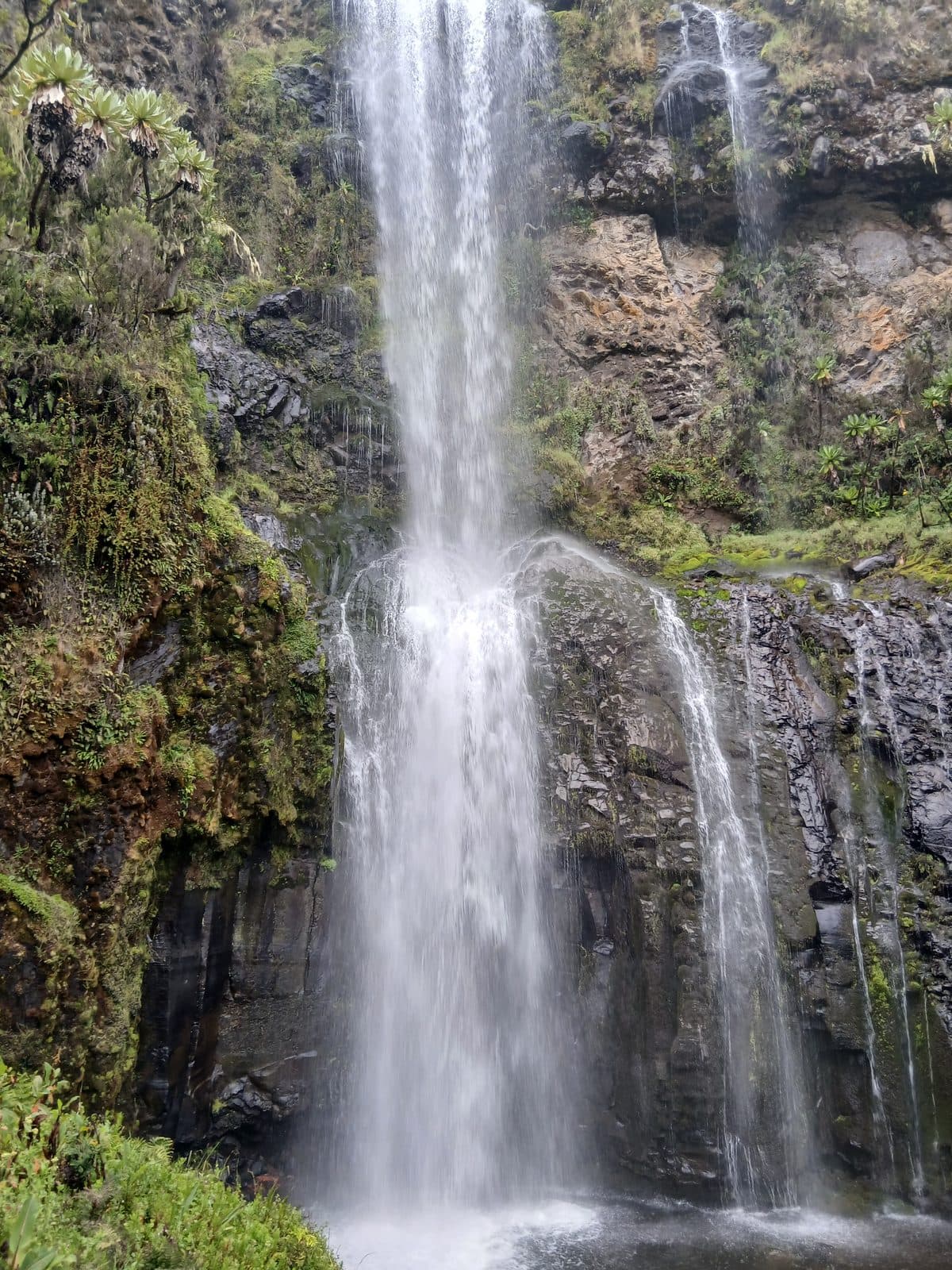 Tall waterfall pouring down a mossy cliff face