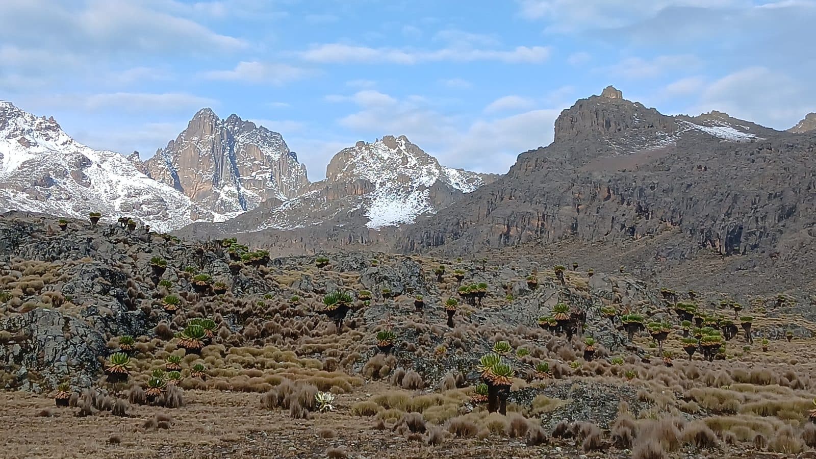 Snow-dusted Mount Kenya peaks rising above a high moorland plateau