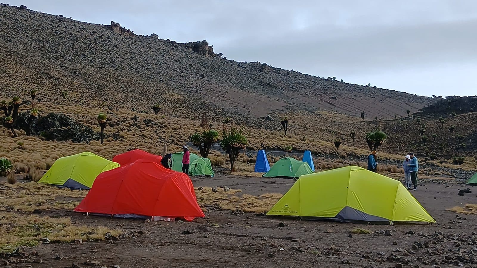 Bright green and red tents at a high-altitude camp