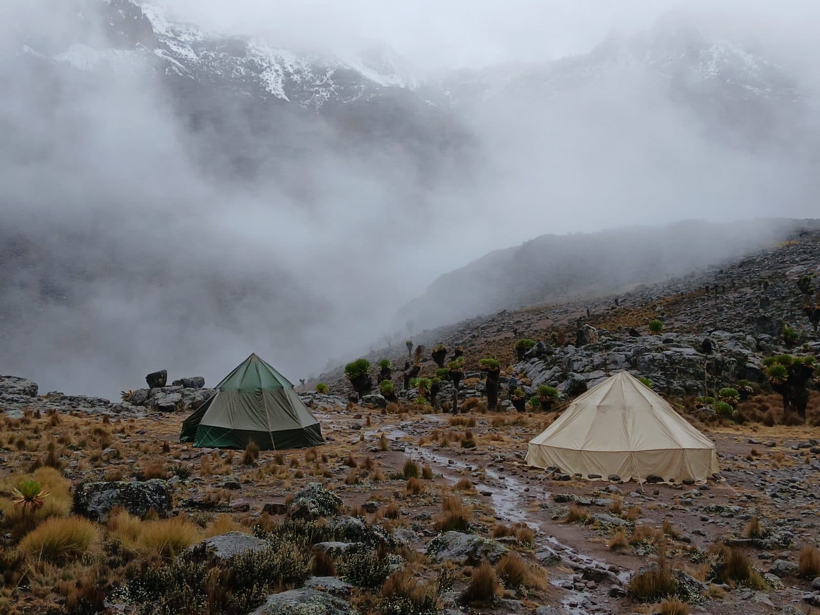 Mist rolling over tents at a high camp on Mount Kenya