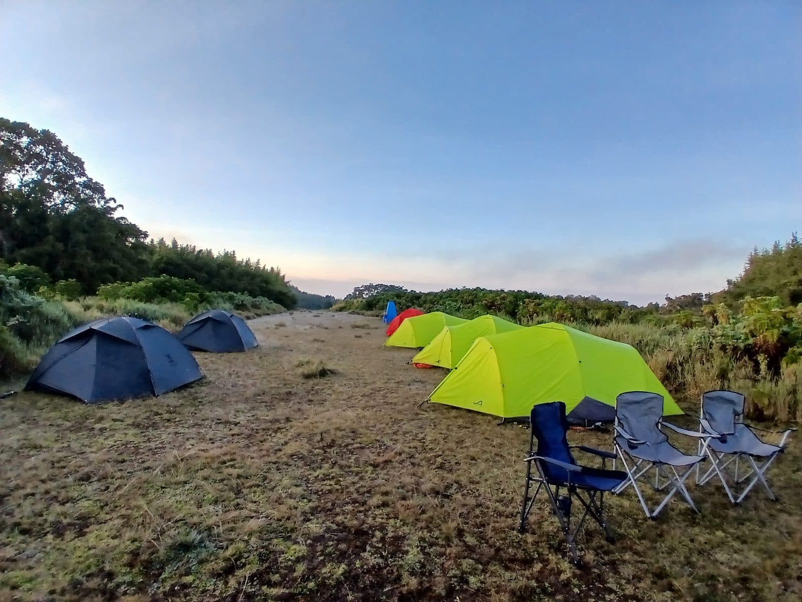 Tents and camp chairs at a grassy campsite at dawn