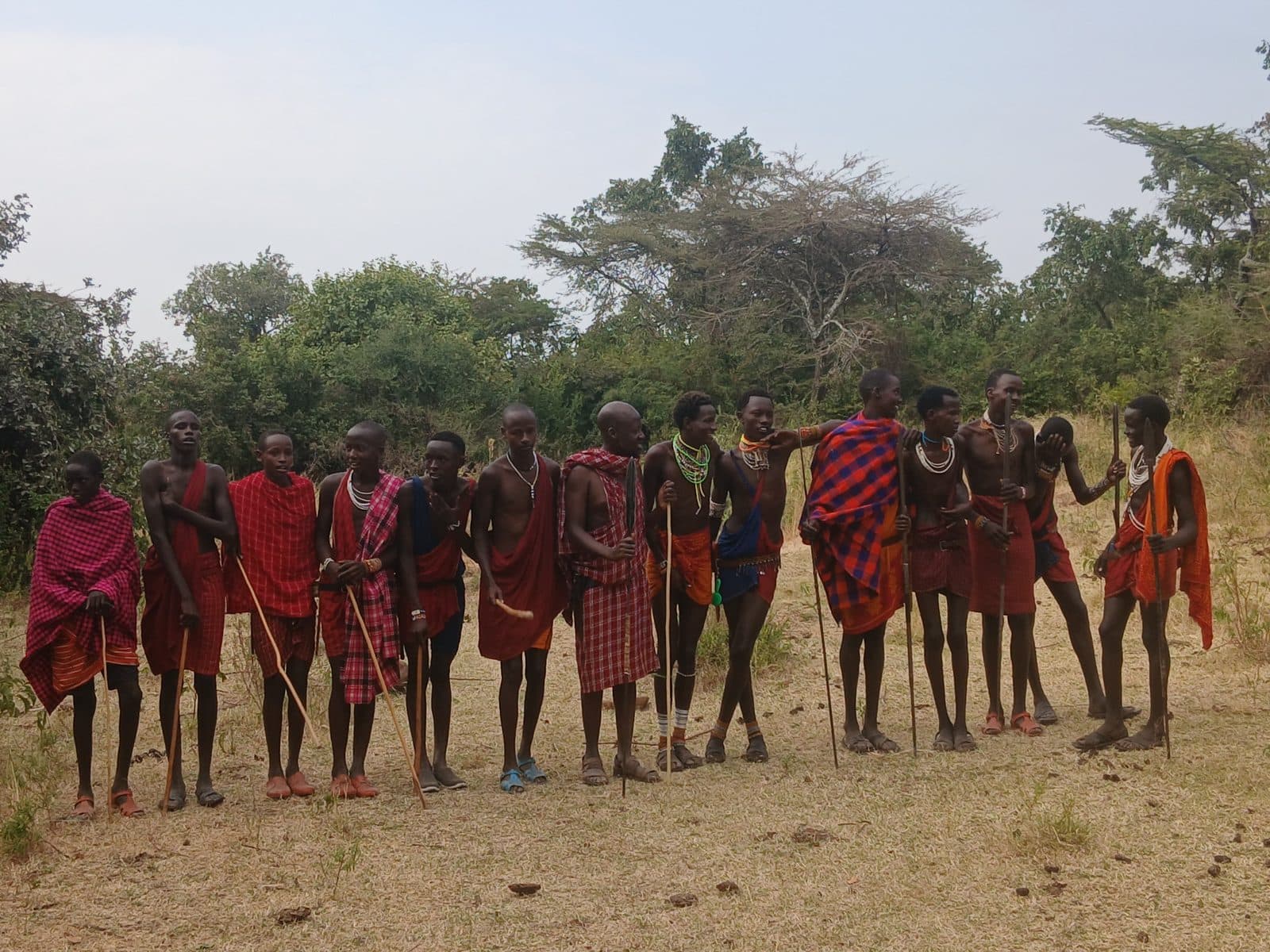 Group of Maasai men in red shukas lined up in the bush