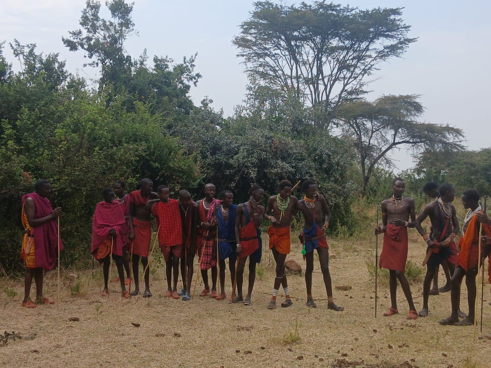 Maasai men in traditional dress standing among acacia trees