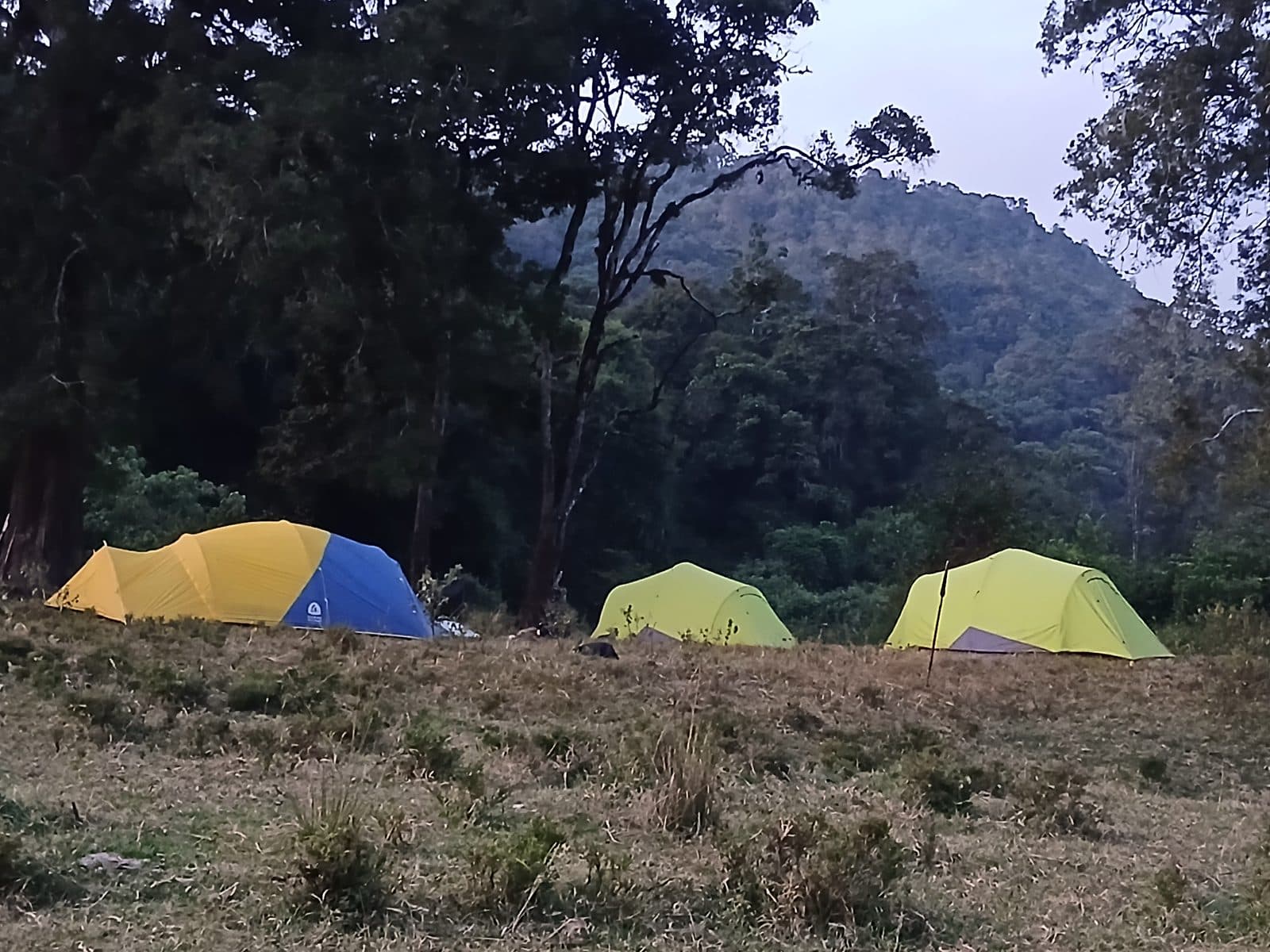 Tents in a clearing below forested hills at dusk