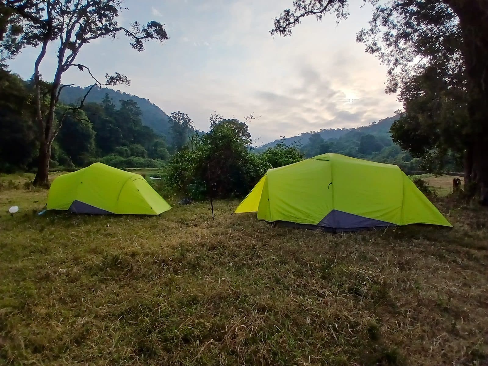 Green tents on a grassy clearing surrounded by forest