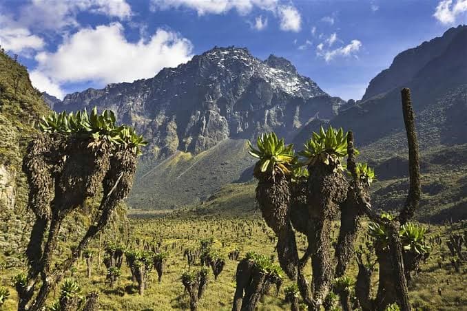 Snow-dusted peaks of the Ruwenzori, the Mountains of the Moon