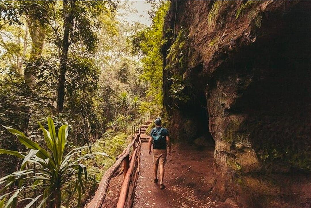 A walker on a forest trail beside a cliff in Karura Forest