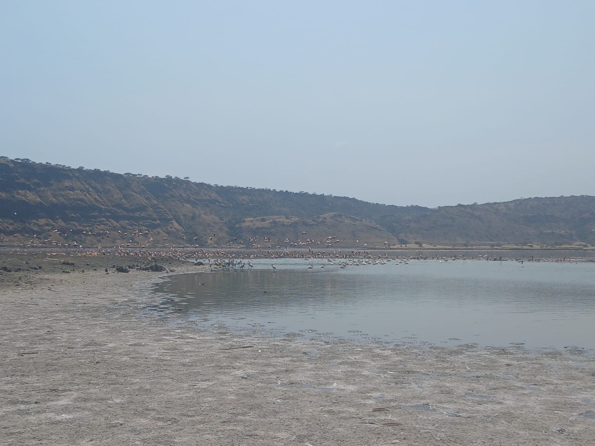 The shore of Lake Magadi with the Rift escarpment behind