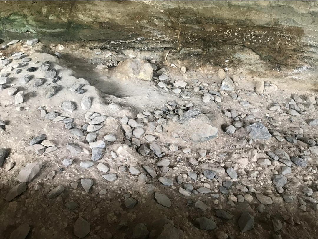Stone tools lying where they were excavated at Kariandusi