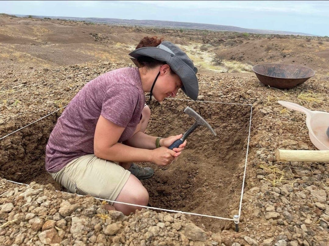 An archaeologist working in a marked excavation square
