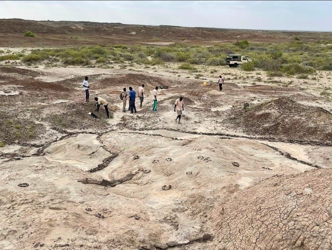Excavation team at work on a fossil site in the Turkana Basin