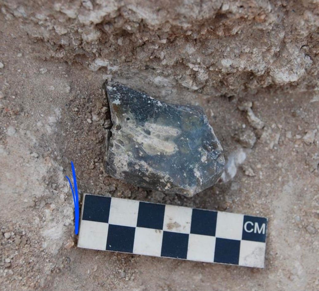 A stone tool in the ground beside a centimetre scale