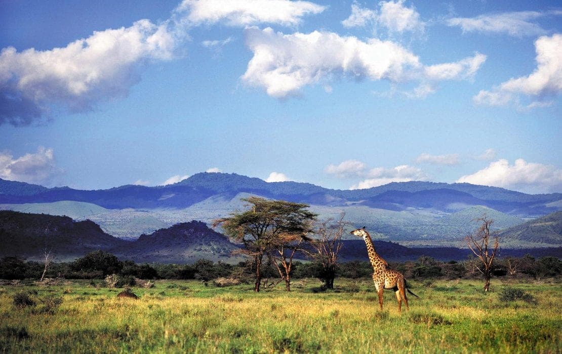 Savanna plains below the snow-capped peak of Kilimanjaro
